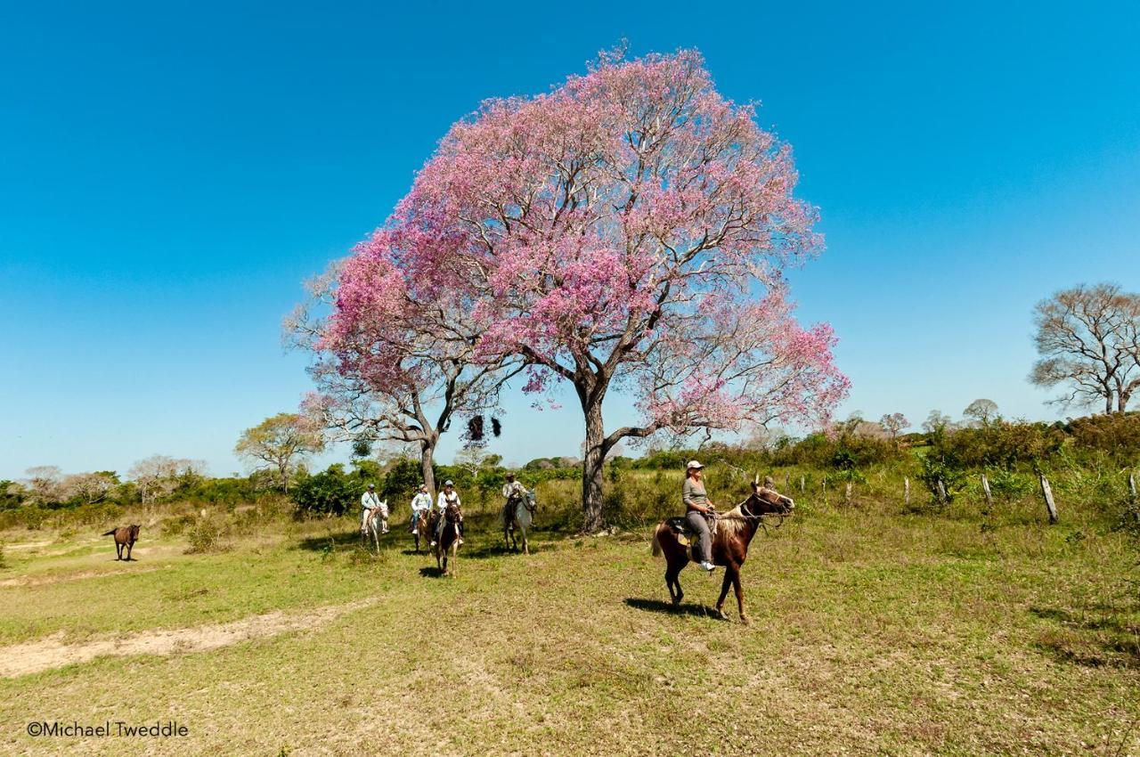 Southwild Pantanal Lodge Pixaim Exterior photo