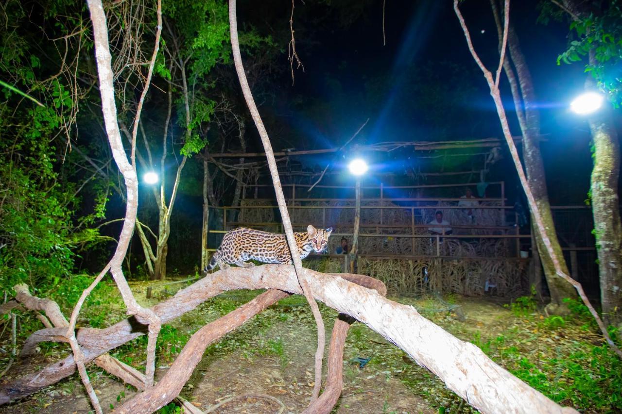 Southwild Pantanal Lodge Pixaim Exterior photo