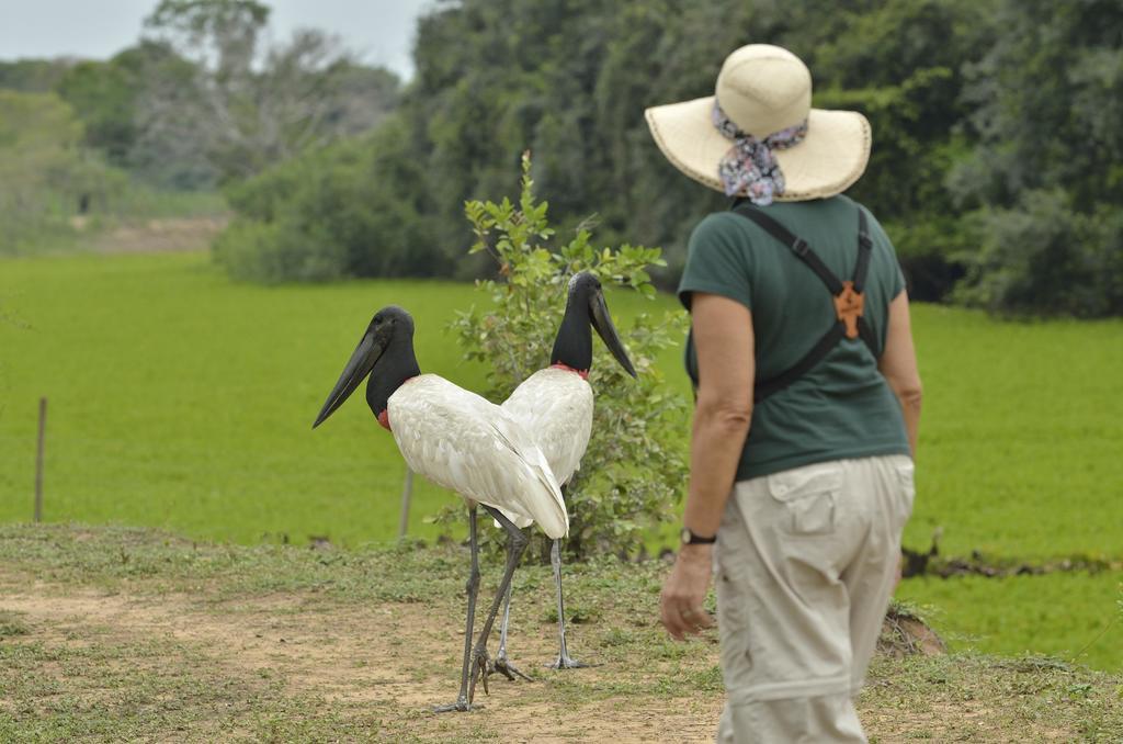 Southwild Pantanal Lodge Pixaim Exterior photo