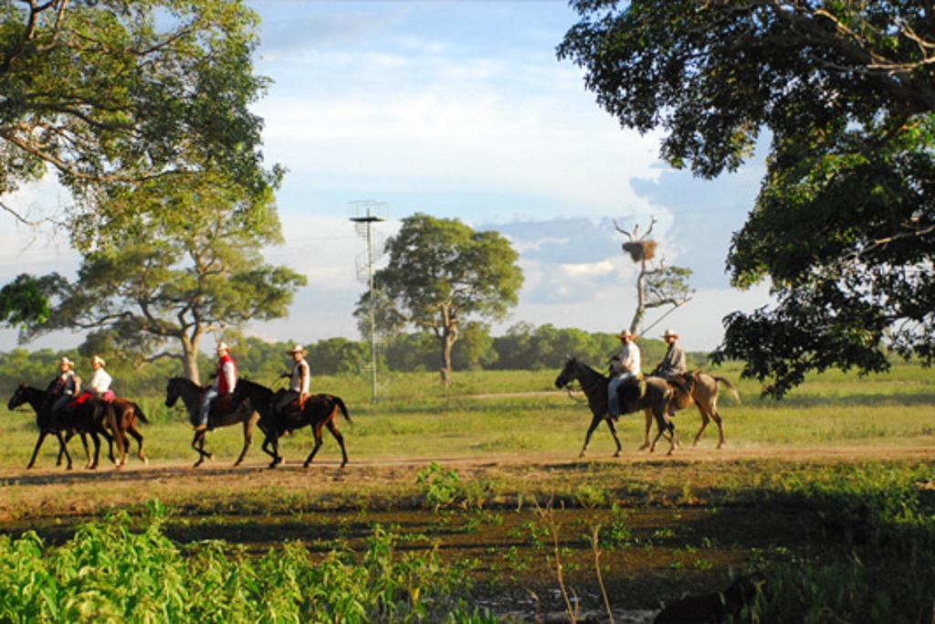 Southwild Pantanal Lodge Pixaim Exterior photo