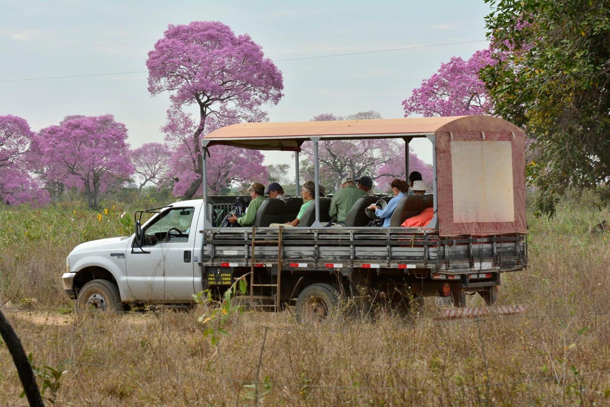 Southwild Pantanal Lodge Pixaim Exterior photo