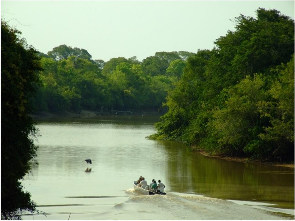 Southwild Pantanal Lodge Pixaim Exterior photo